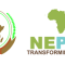  Nepad -APRM Kenya 